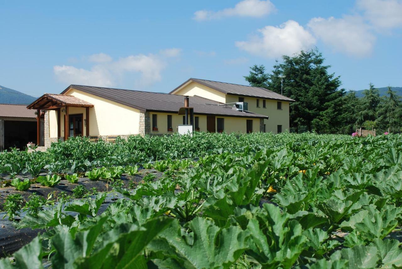 Agriturismo Fiorella Camigliatello Silano Exterior foto